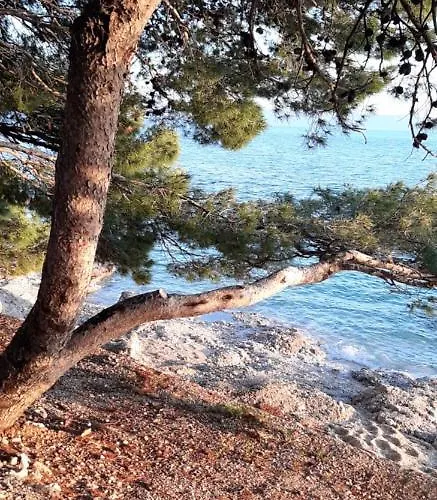 Rita Apartment Makarska